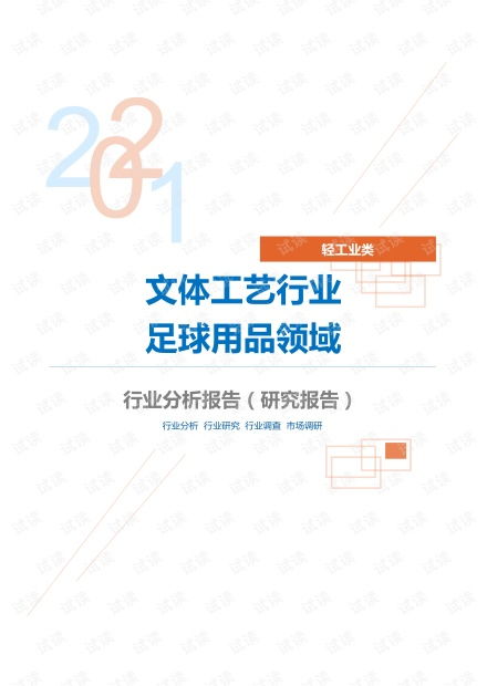 輕工業類文體工藝行業足球用品領域分析報告 研究報告 .pdf資源 csdn文庫